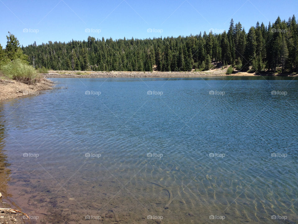 tree trees water lake by stephenkirsh