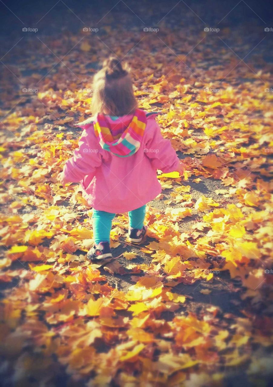 Fall, Girl, Child, People, One