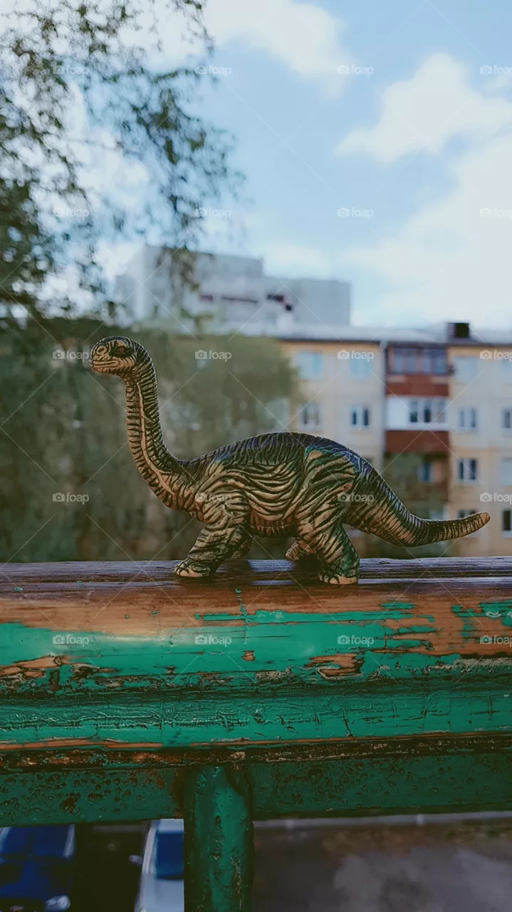 dinosaur
