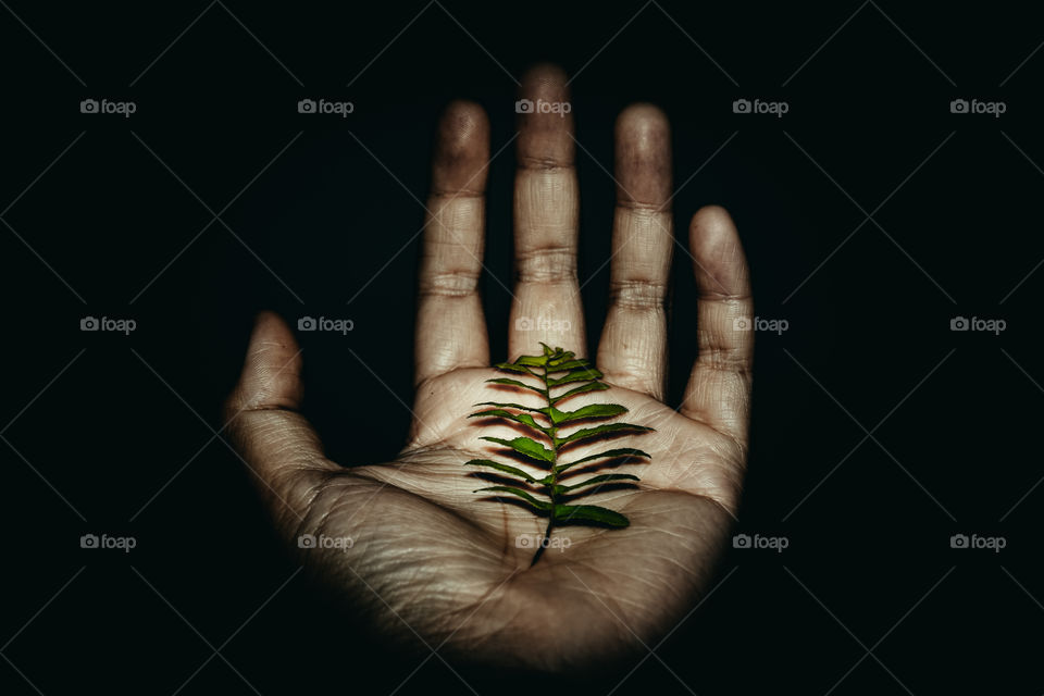 A photo of a tree on the hand