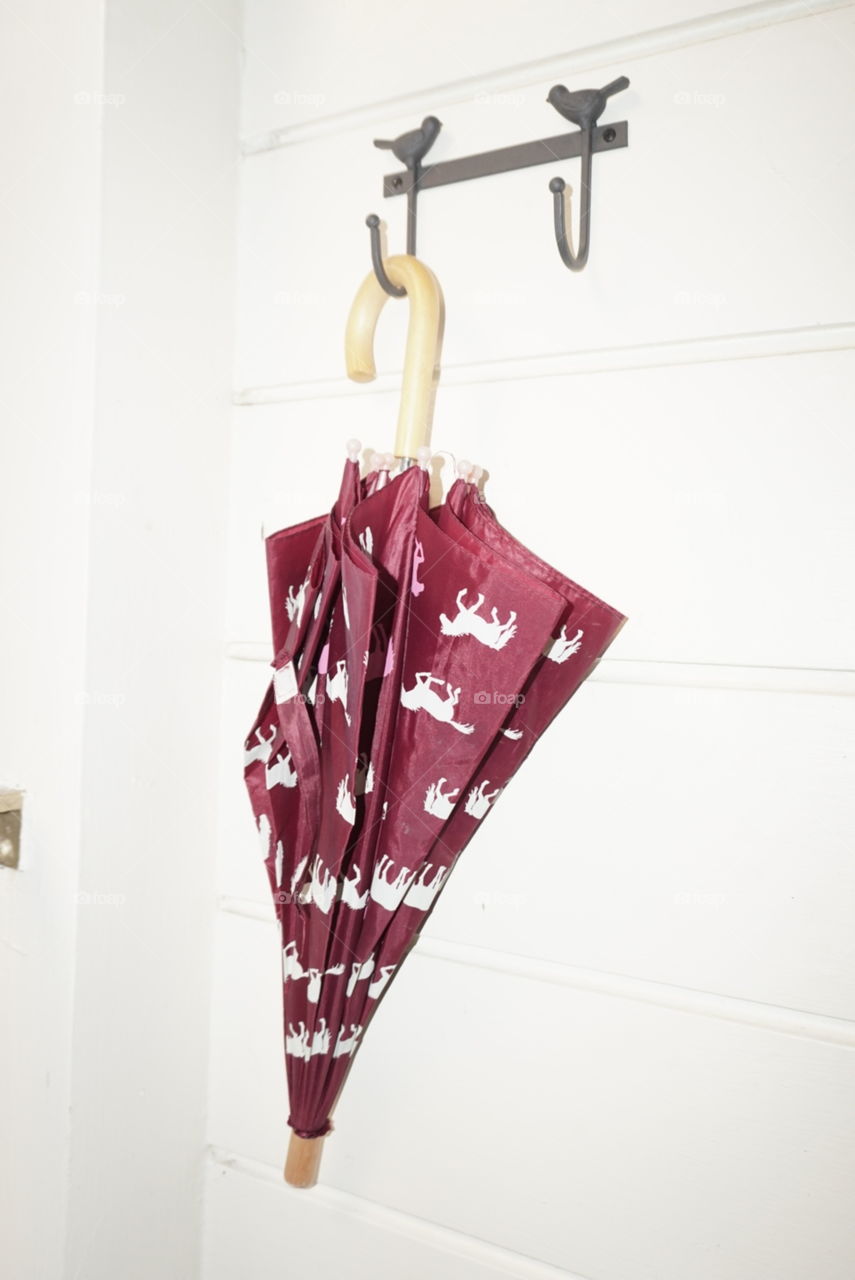 Rainy Season 
An Umbrella hanging on the door way