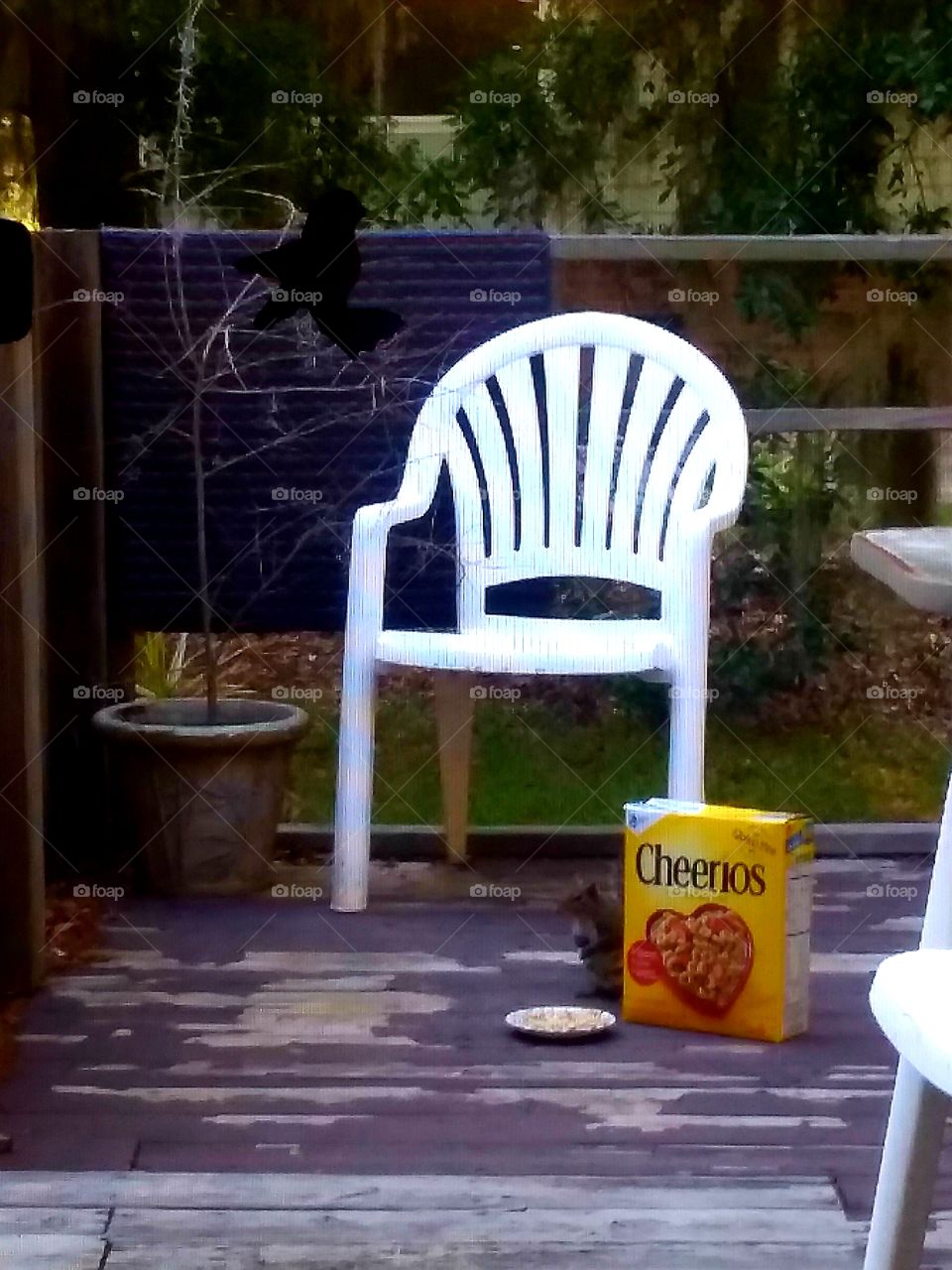 Breakfast...the most important meal of the day.  Just ask this little guy!