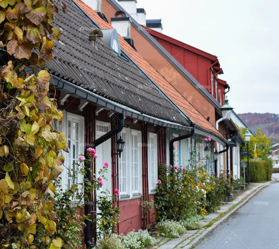 Houses