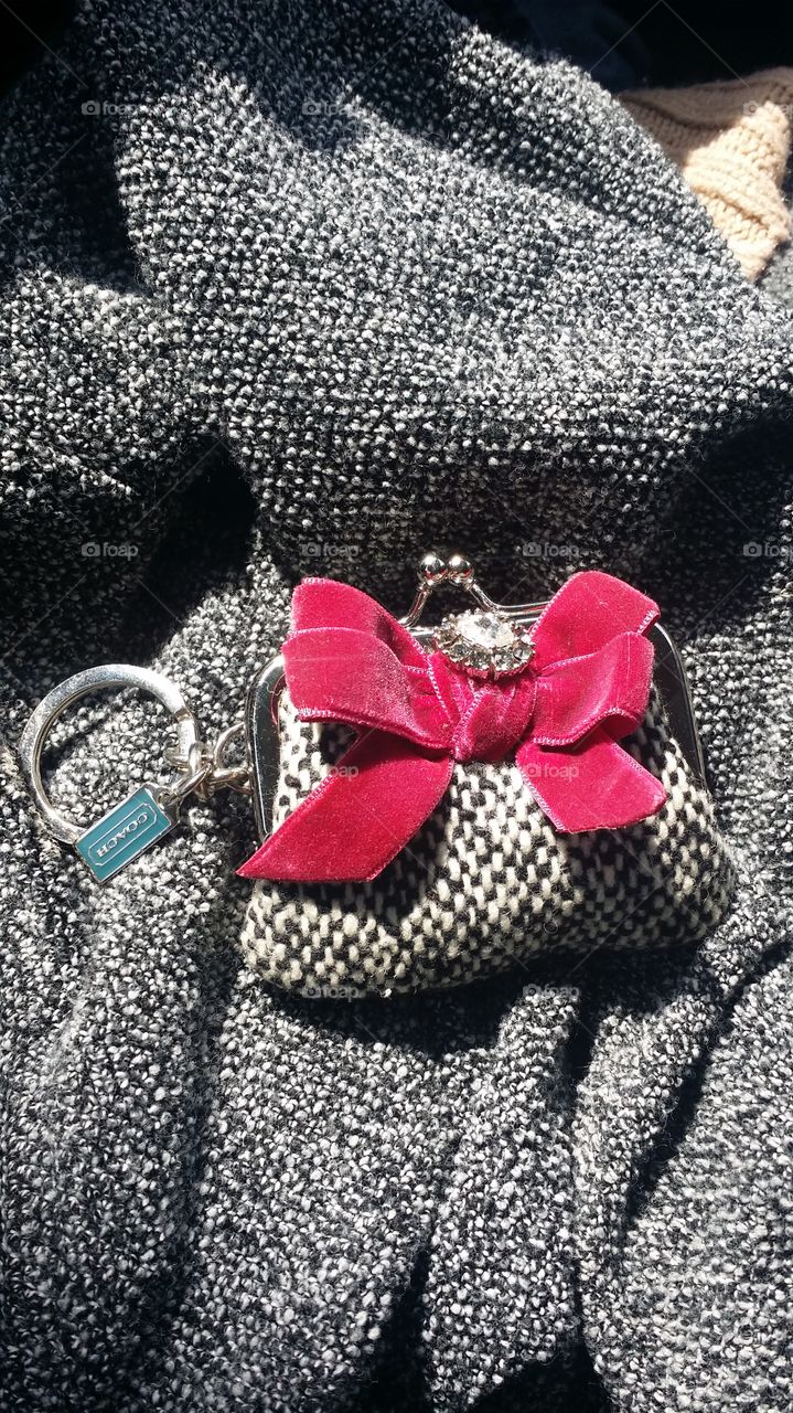 My cute Coach coin purse!