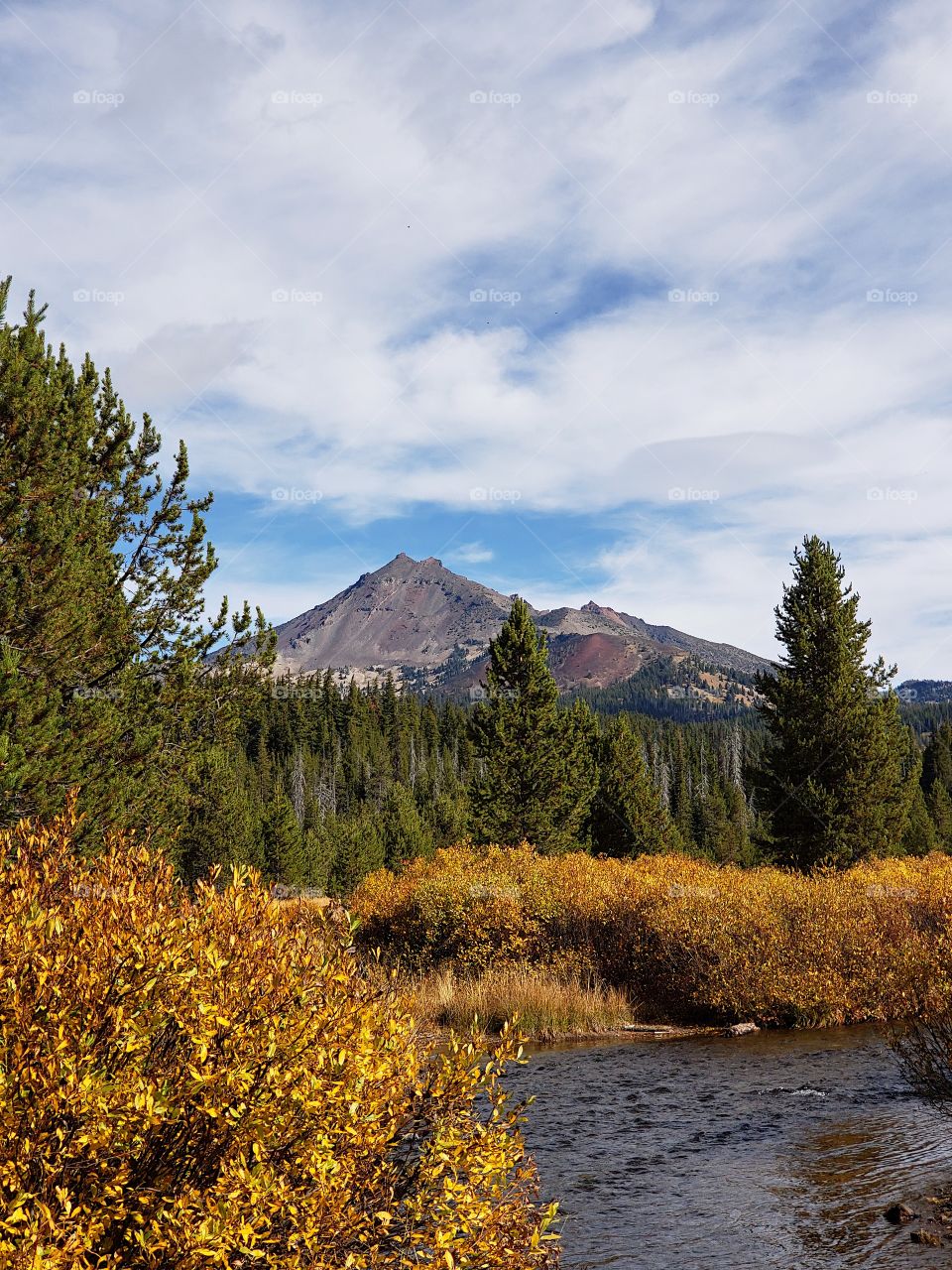 The beautiful Soda Creek in the mountains of Oregon with banks covered in golden fall foliage with the South Sister towering in the background.