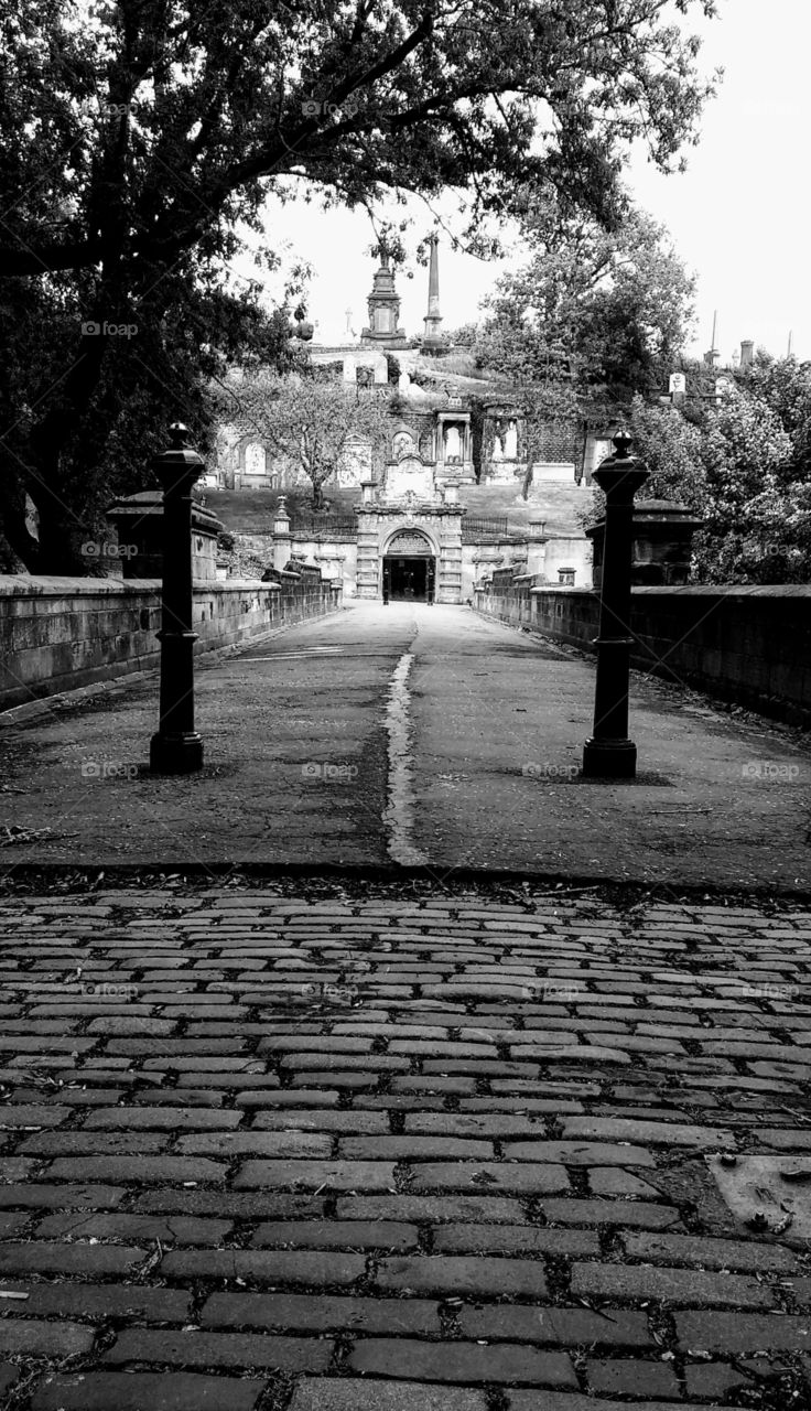 Glasgow Necropolis