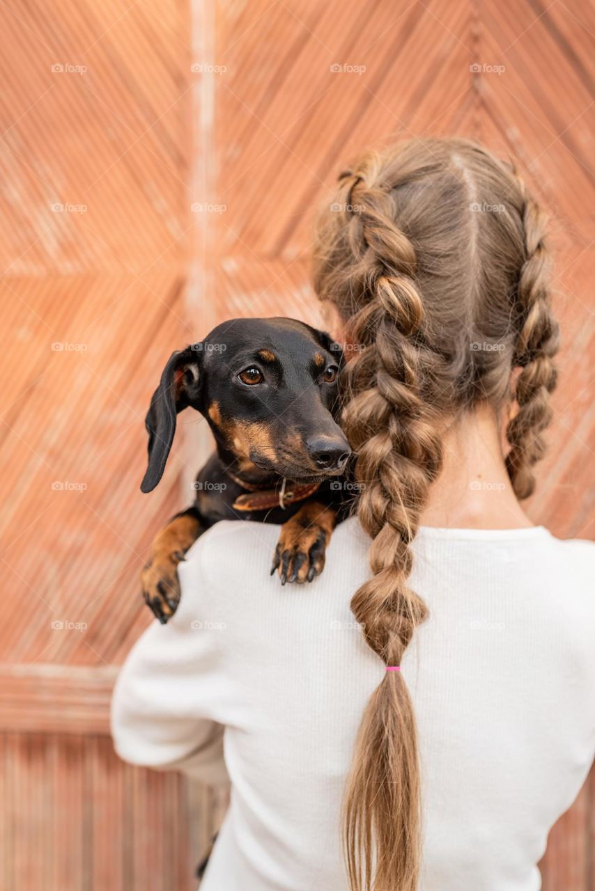 cute dog on a walk