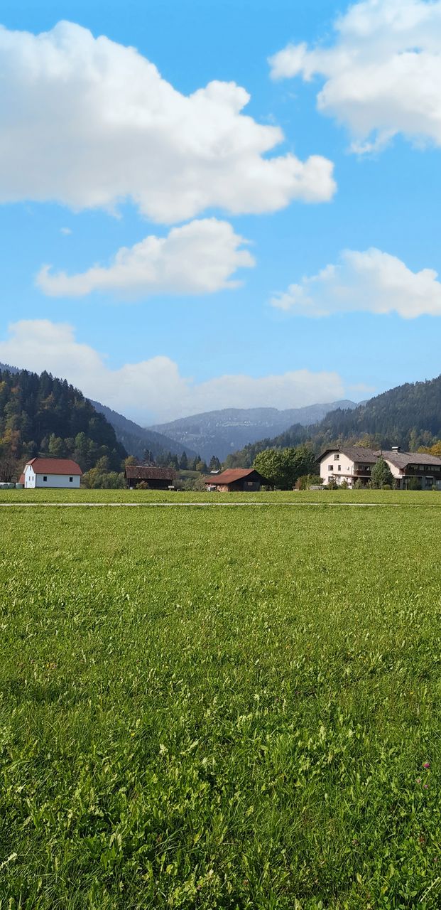 farm life