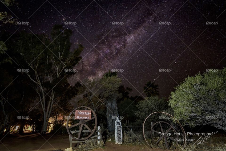 Landscape, Tree, No Person, Travel, Light
