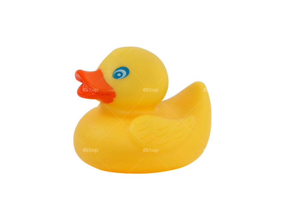 Yellow duck