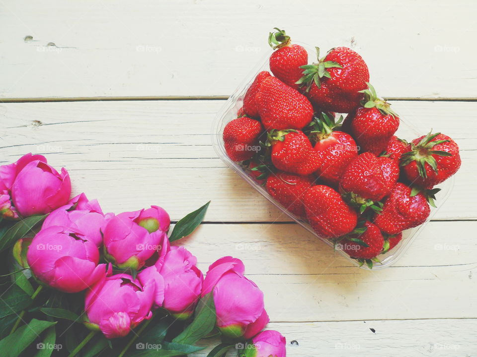 pink peony flowers and strawberry berries on white background