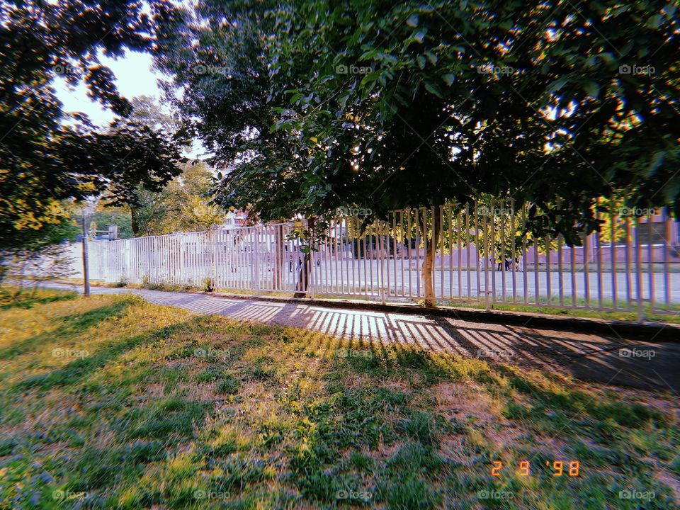 Sun rays going through a fence