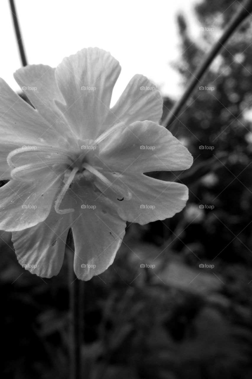 Beauty All Around Us