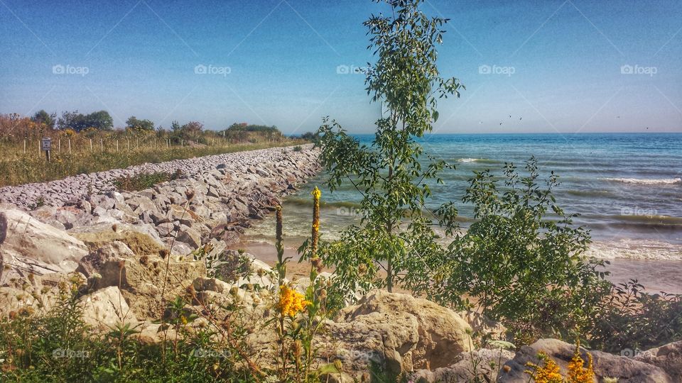 Nature. Lake View 