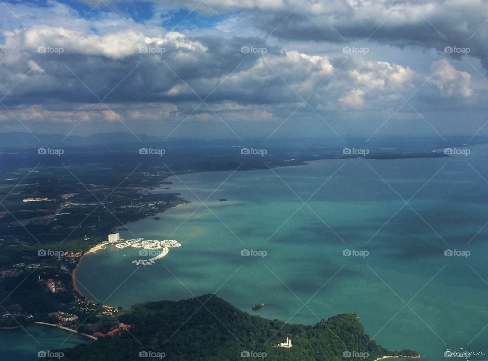 Hibiscus from the top