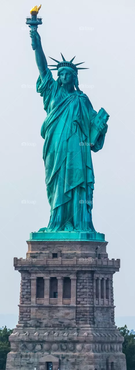 The lady
