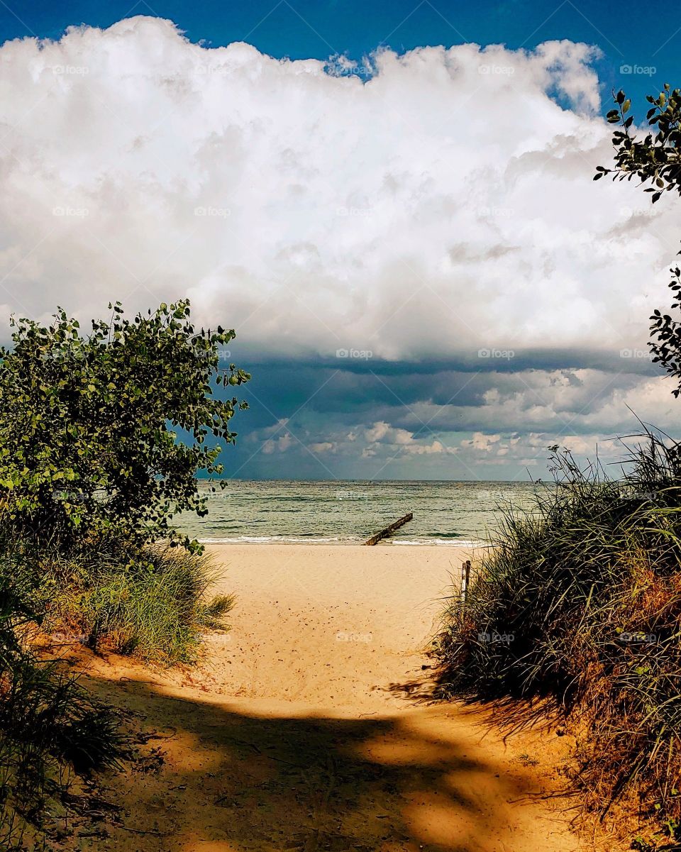 Warnemünde, Germany, dunes, beach, summer, sea