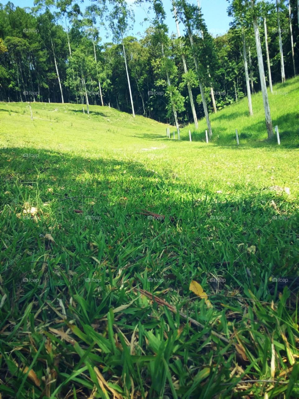 Sombra agradável observando as silhuetas da terra.