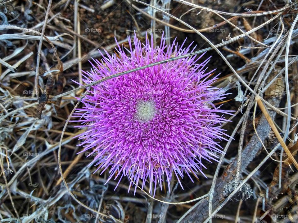 Everything seems like autumn!