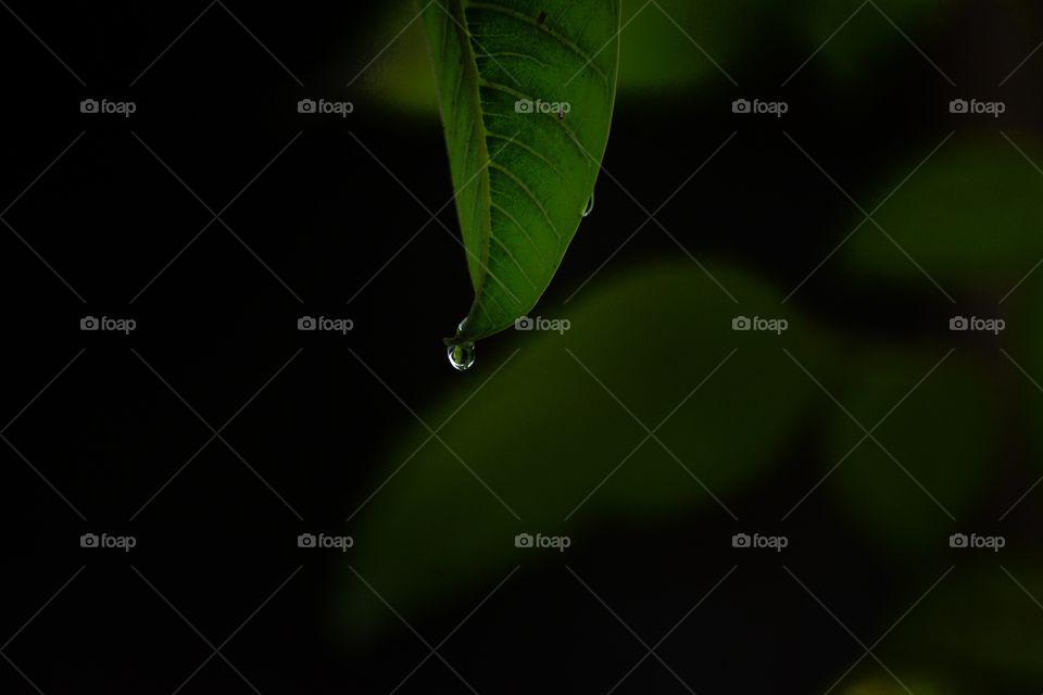 When the rain stops!!!