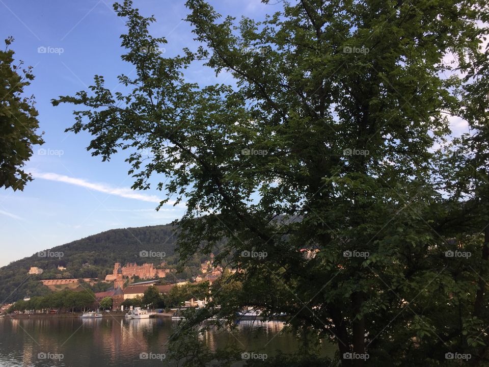 Beautiful view of Heidelberg Altstadt and the Neckar 