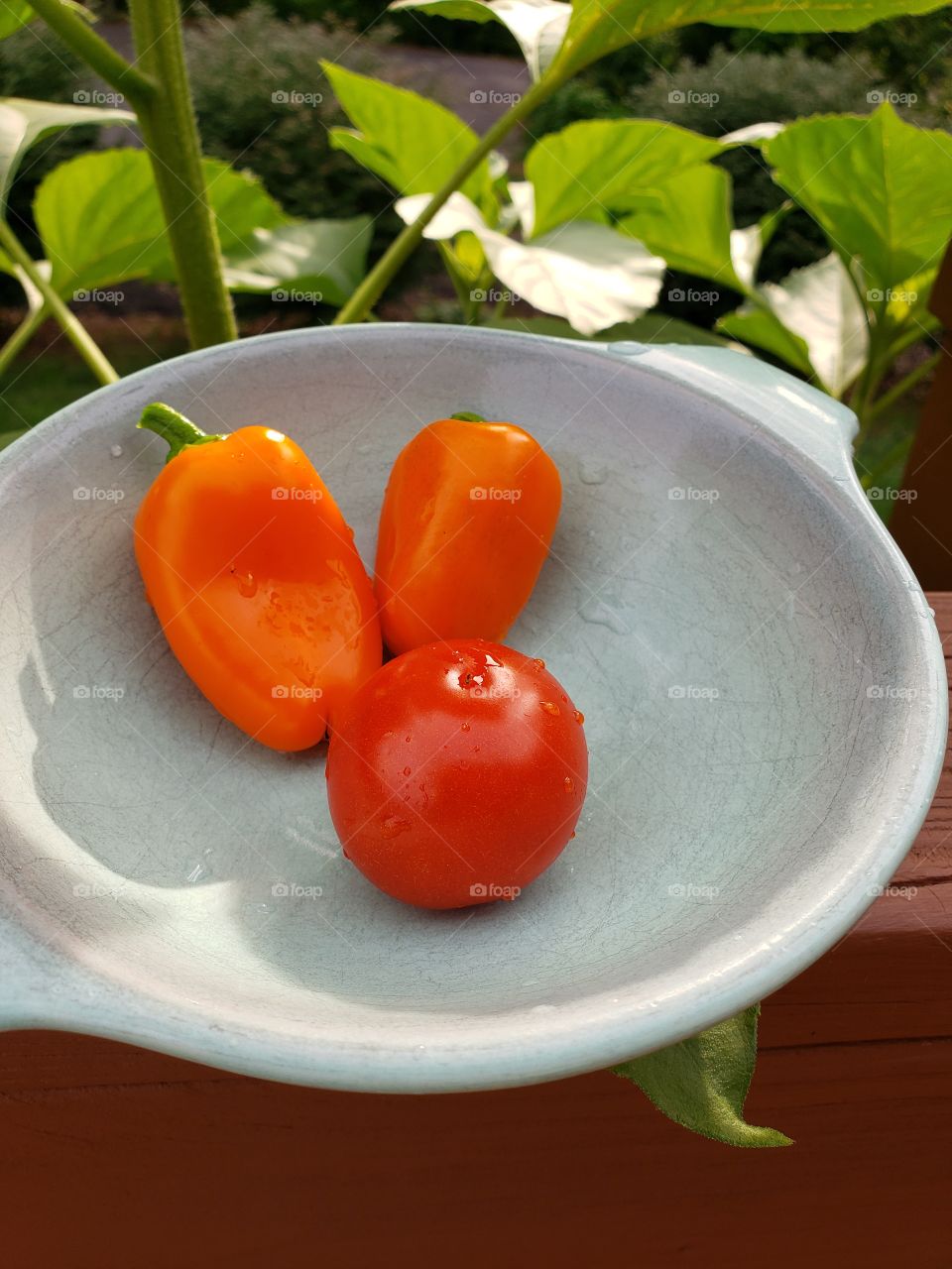 First veggies of the year!!