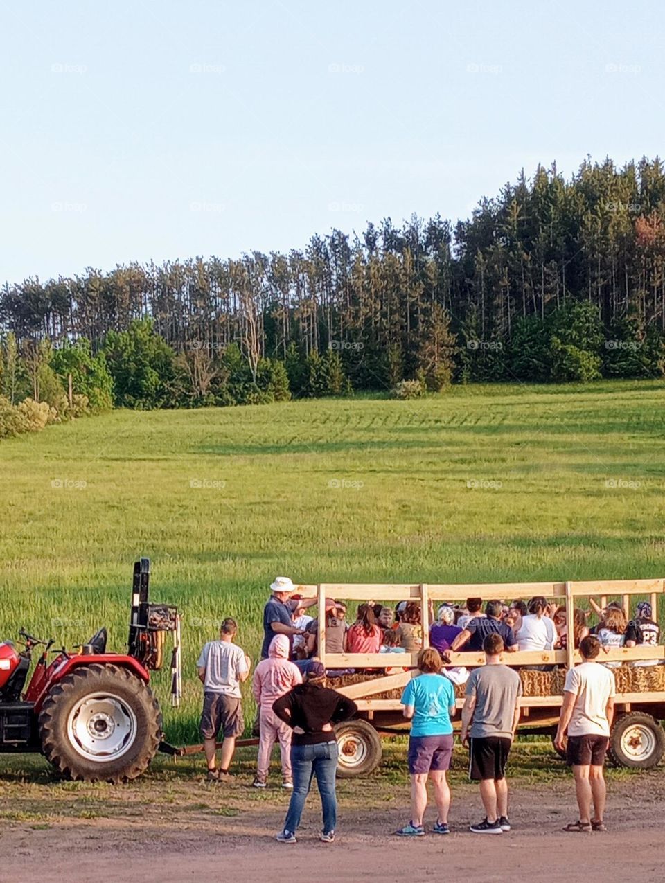 All Aboard the Hay Wagon