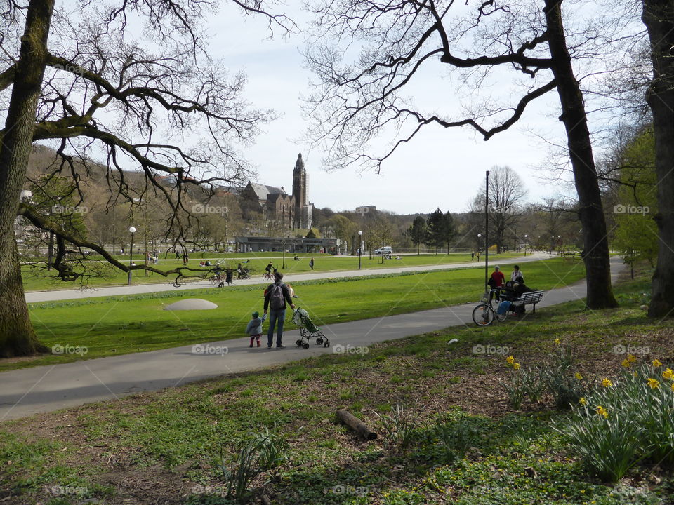 People enjoying spring in a park 