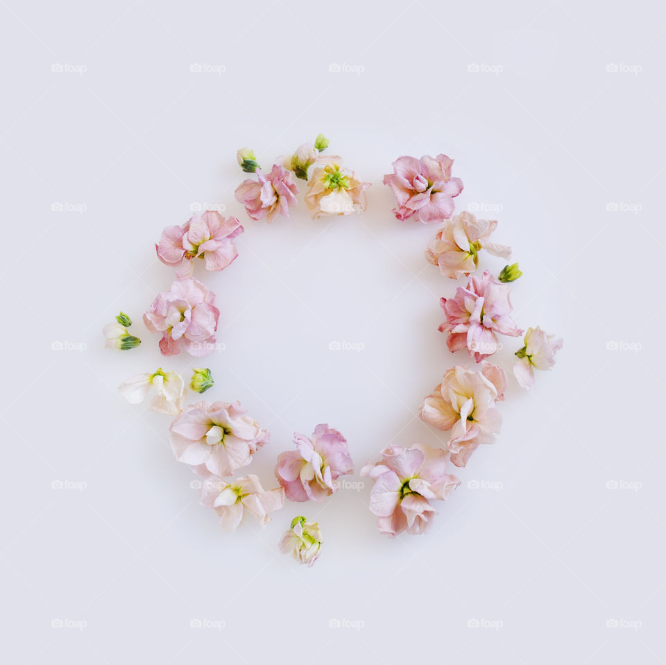 Round frame of pink flowers isolated on a white background 