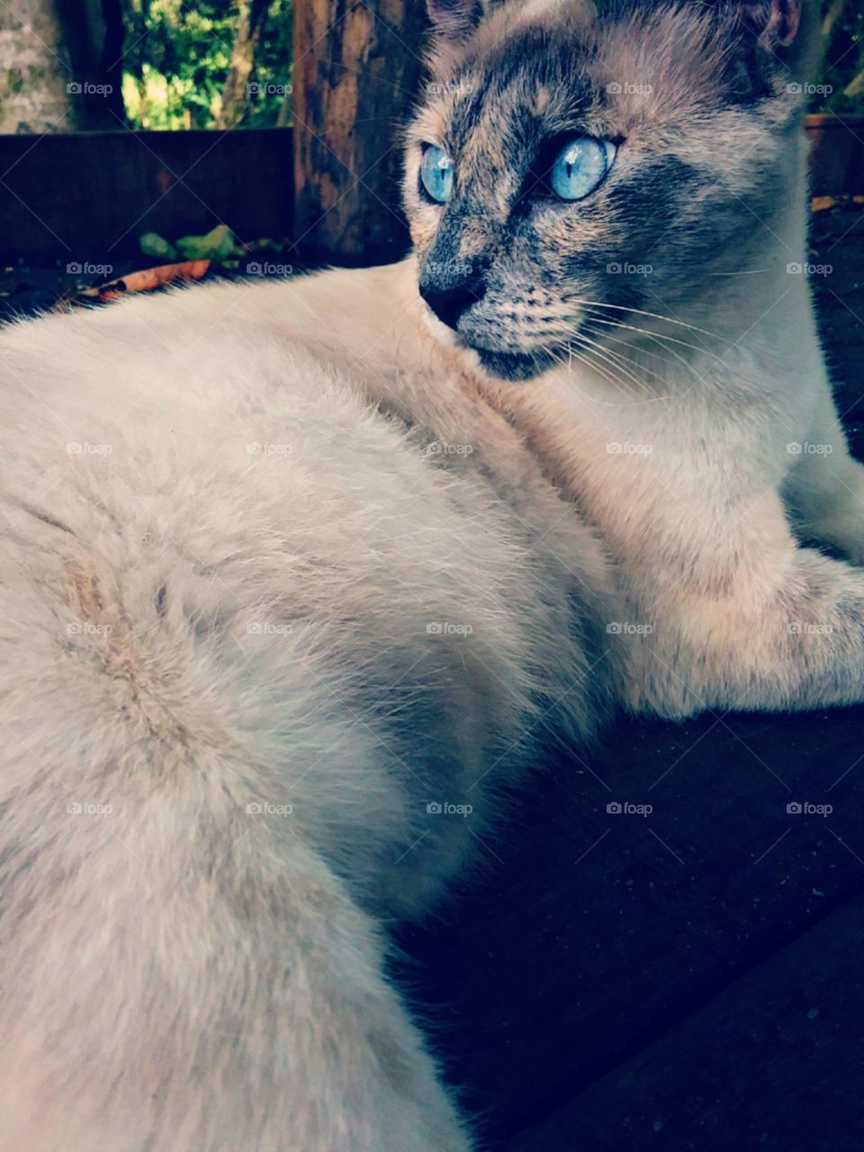 Olhar poderoso e sensível