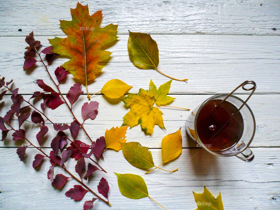 Tea cup and autumn leaves