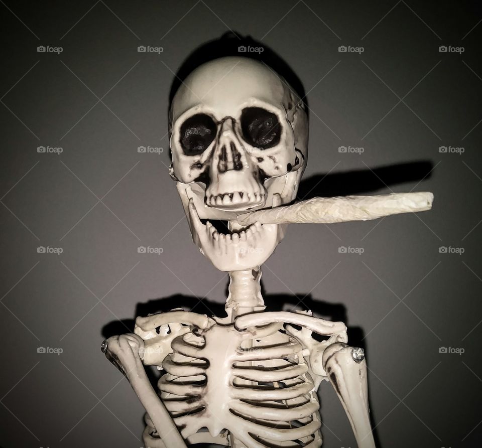 bones smoking a bone