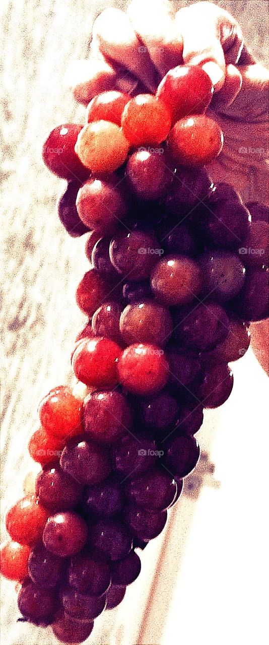 Cacho de uvas