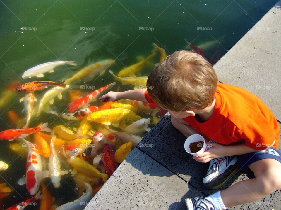 Fishes 