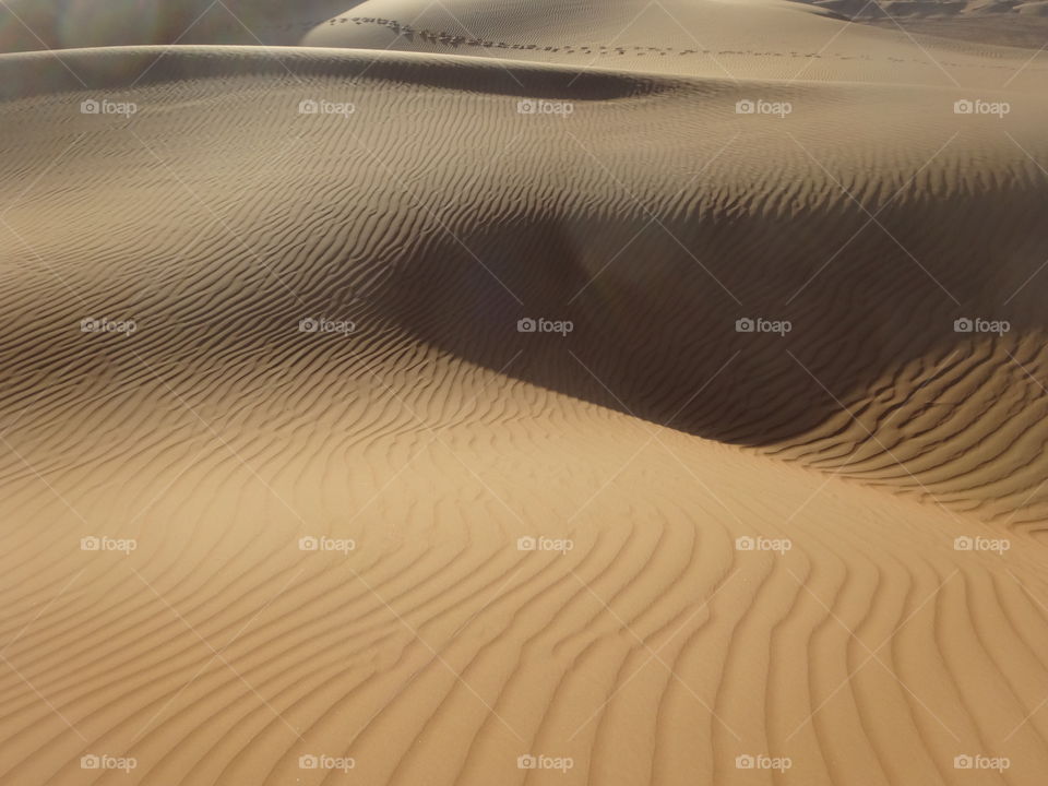 desert in Oman