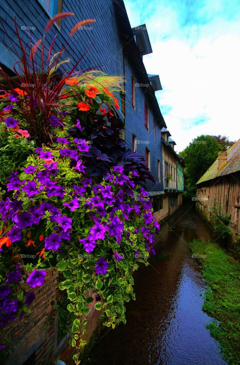 Flowers overlooking a town canal in Normandy