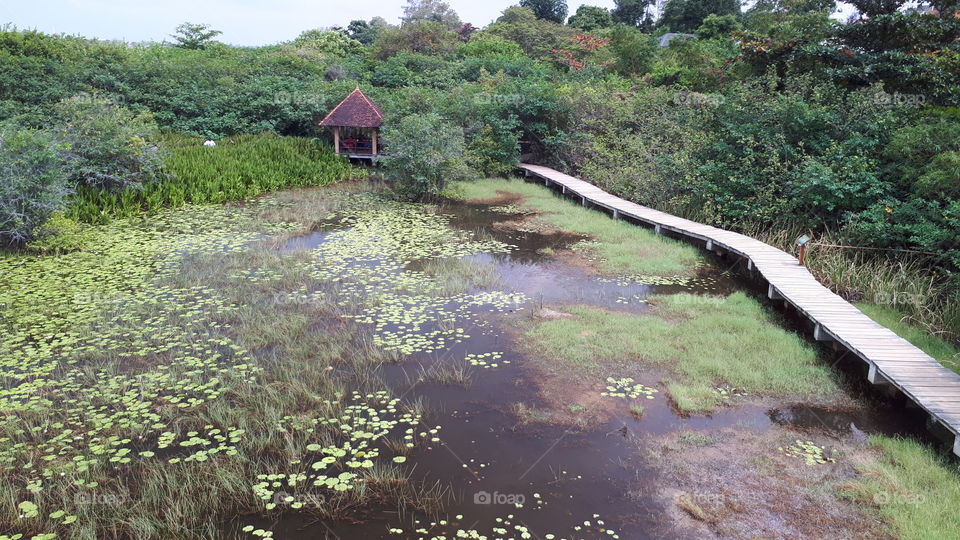 Daytime at Beddagana Wetland Park in Sri Lanka.