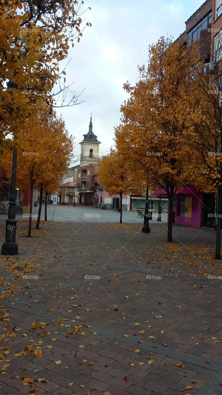 Paisaje de otoño 