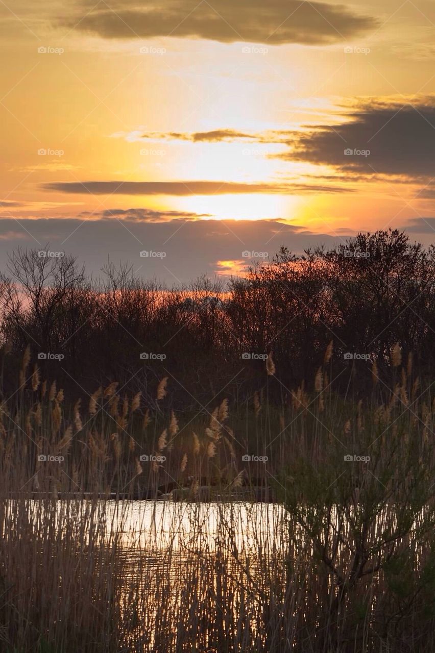 Sunset over marsh