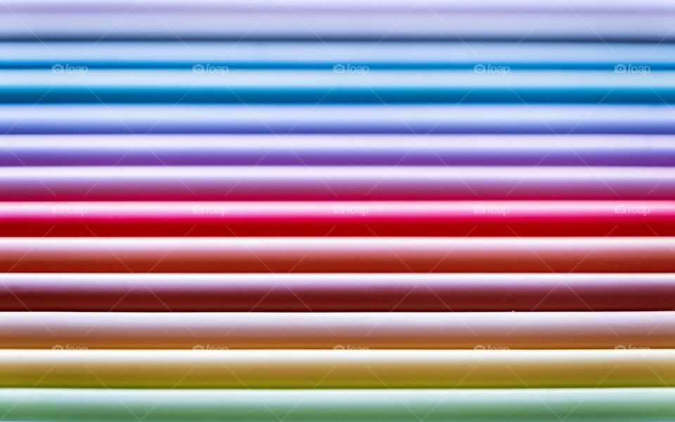 vibrant Colors Still Life