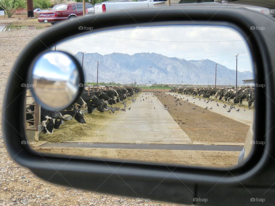 side mirror view