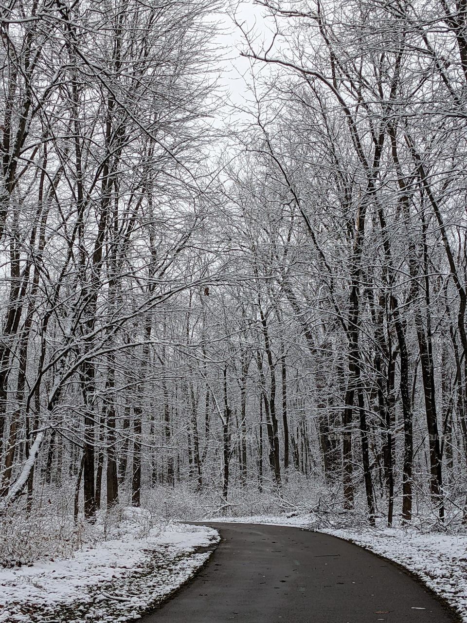 A walk on a snowy day