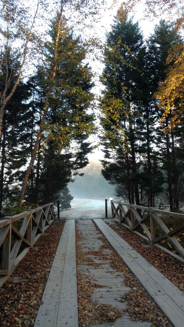 foggy morning