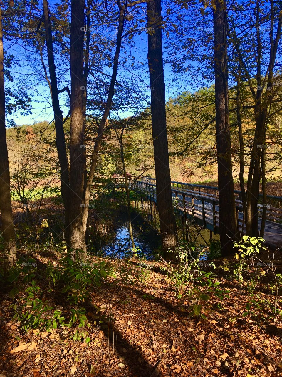 Bridge over still water