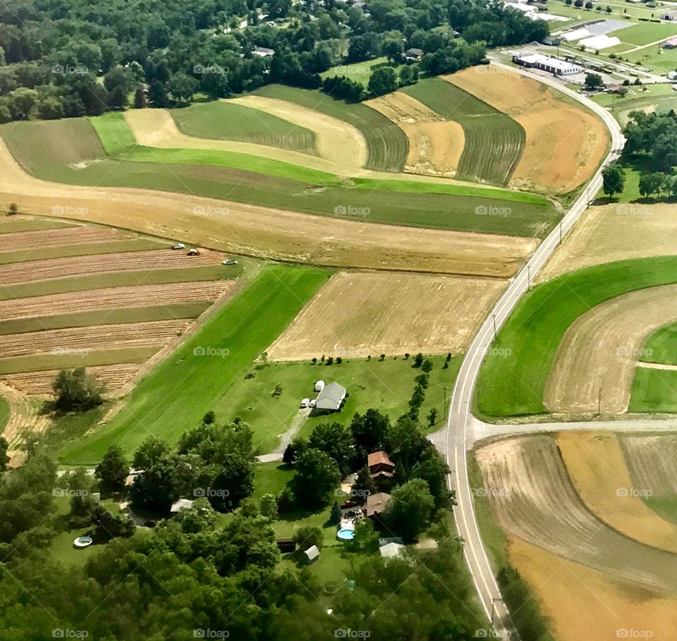 Aerial view of crops of vegetables 