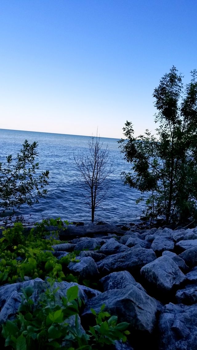 Beautiful Nature