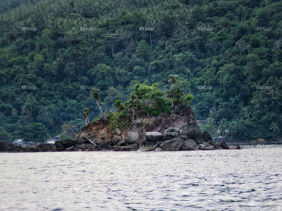 Natural scenery, a small rocky island and greenery, green hills background with coconut trees and others.