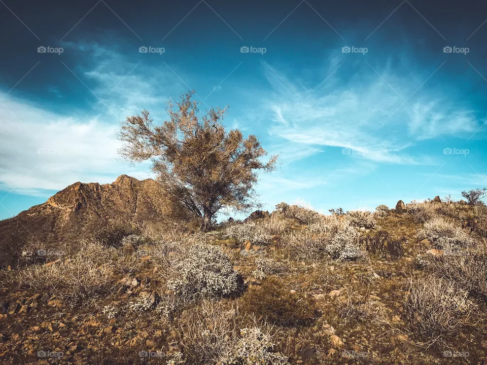 Desert and sky