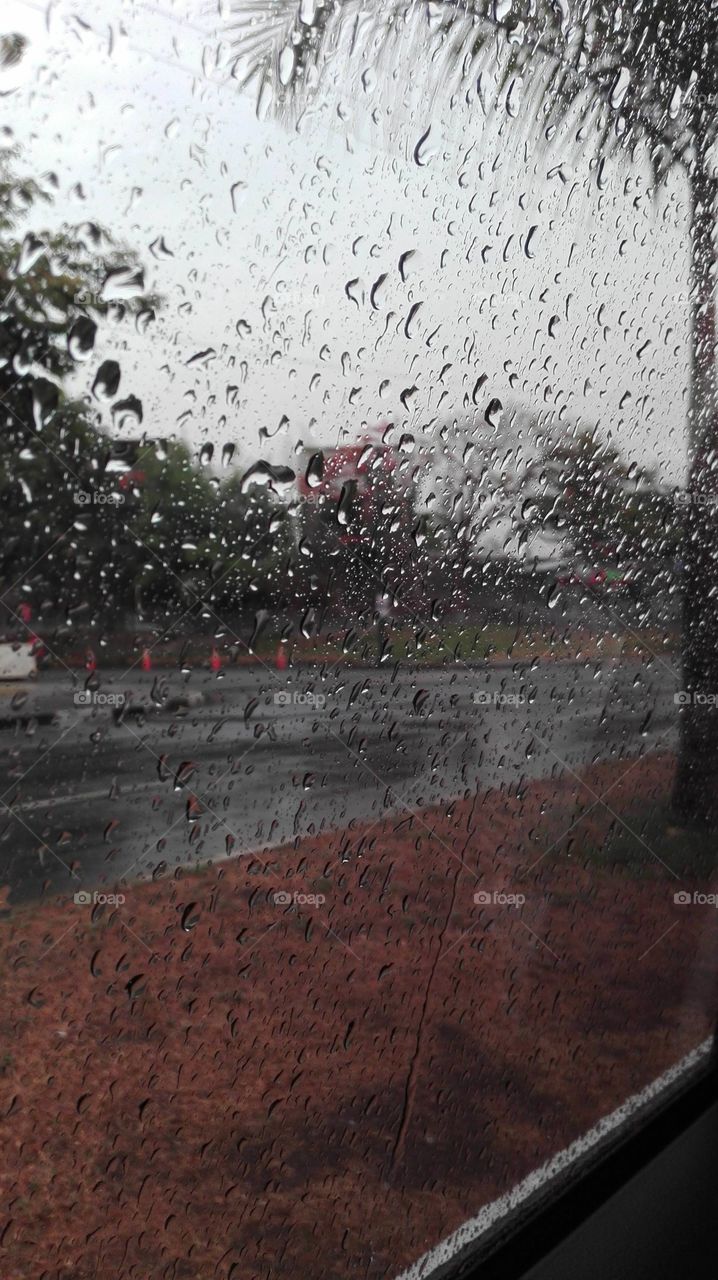 Raindrops in the morning.