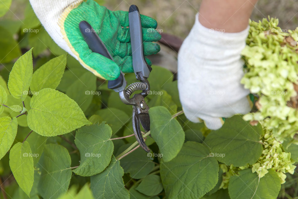 Gardening